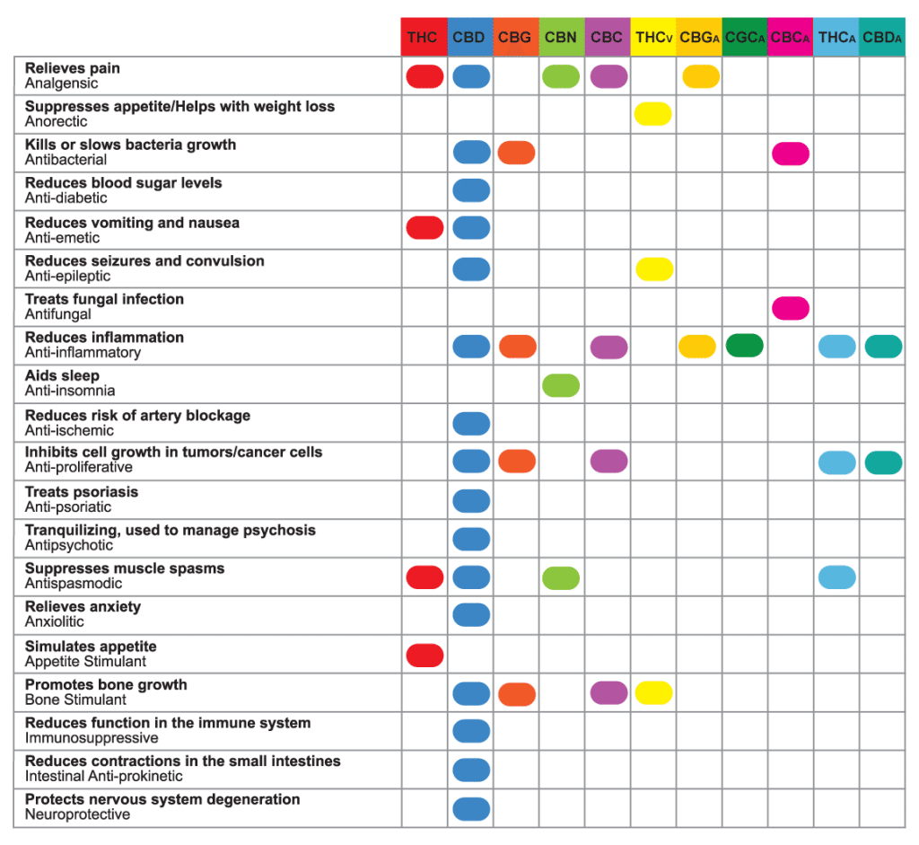 CBD Uses - Clinical Applications